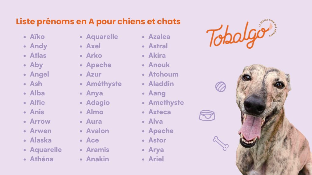 Liste-prenoms-en-A-pour-chiens-et-chats.jpg