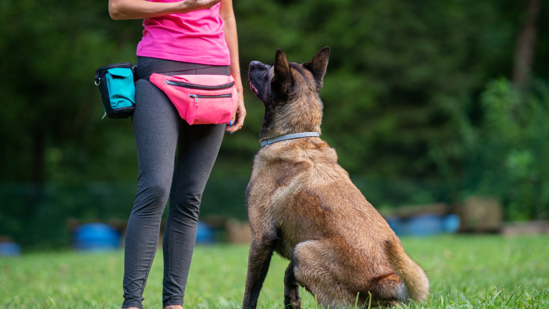 educateur-canin.jpg