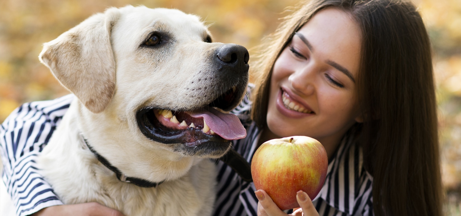 fruit-bon-pour-chien.jpg
