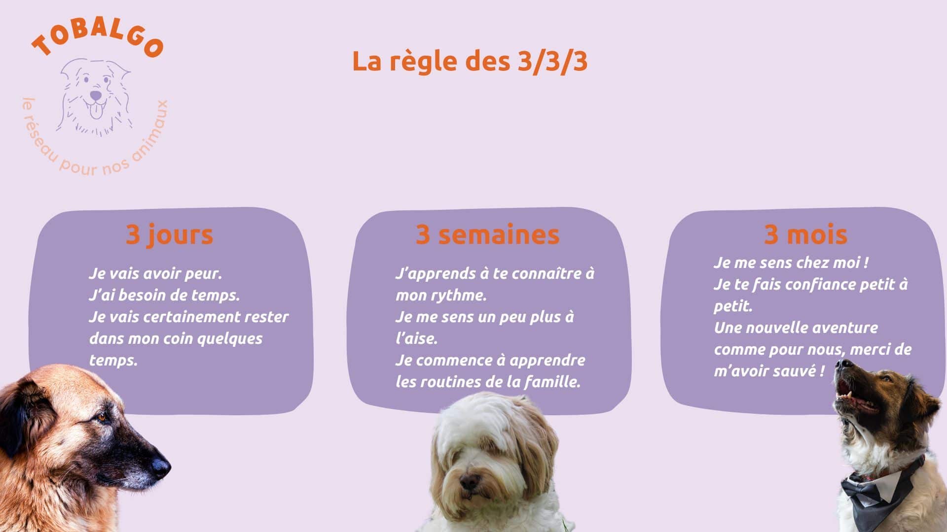 la-regle-3_3_3.jpg