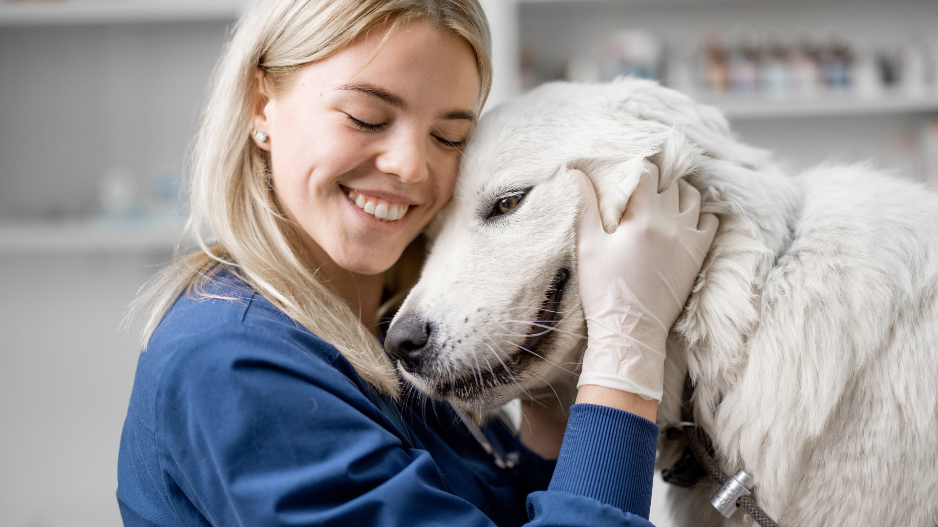 osteopathe-animalier.jpg