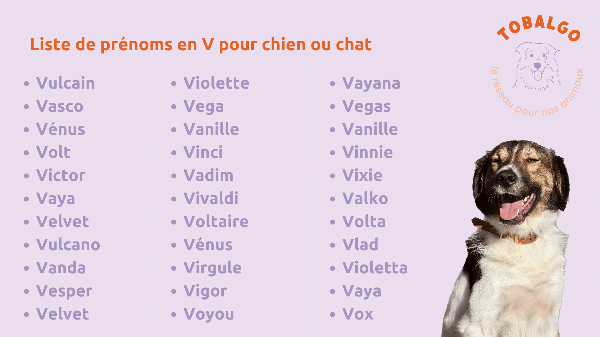 prenom-v-chien-chat.png